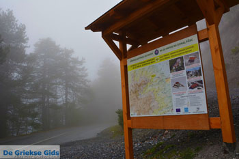 Bij Prionia Olympus | Pieria Macedonie | Griekenland foto 2 - Foto van https://www.grieksegids.nl/fotos/centraal-macedonie/pieria/normaal/pieria-macedonie-griekenland-118.jpg