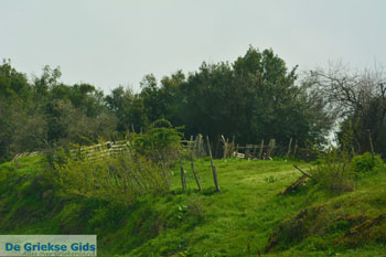 Ergens tussen Agios Dionysios Litochoro en Olympus | Pieria Macedonie - Foto van https://www.grieksegids.nl/fotos/centraal-macedonie/pieria/normaal/pieria-macedonie-griekenland-122.jpg