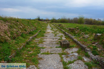 Dion | Pieria Macedonie | Griekenland foto 14 - Foto van https://www.grieksegids.nl/fotos/centraal-macedonie/pieria/normaal/pieria-macedonie-griekenland-177.jpg