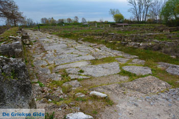 Dion | Pieria Macedonie | Griekenland foto 17 - Foto van https://www.grieksegids.nl/fotos/centraal-macedonie/pieria/normaal/pieria-macedonie-griekenland-180.jpg