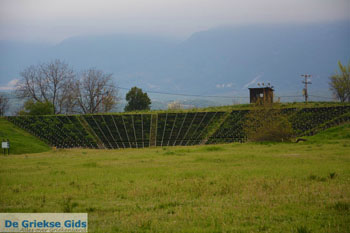 Dion | Pieria Macedonie | Griekenland foto 19 - Foto van https://www.grieksegids.nl/fotos/centraal-macedonie/pieria/normaal/pieria-macedonie-griekenland-182.jpg