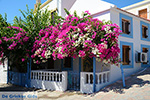 Nimborio Chalki - Eiland Chalki Dodecanese - Foto 128 - Foto van De Griekse Gids