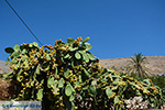 Nimborio Chalki - Eiland Chalki Dodecanese - Foto 136 - Foto van De Griekse Gids