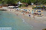 GriechenlandWeb Pontamos Chalki - Insel Chalki Dodekanes - Foto 158 - Foto GriechenlandWeb.de