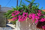 Nimborio Chalki - Eiland Chalki Dodecanese - Foto 198 - Foto van De Griekse Gids