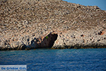 Nimborio Chalki - Eiland Chalki Dodecanese - Foto 336 - Foto van De Griekse Gids