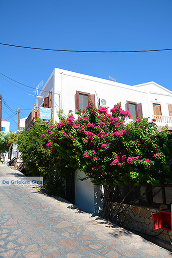 Nimborio Chalki - Eiland Chalki Dodecanese - Foto 105 - Foto van https://www.grieksegids.nl/fotos/chalki/350/eiland-chalki-105.jpg