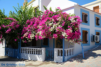 Nimborio Chalki - Eiland Chalki Dodecanese - Foto 128 - Foto van https://www.grieksegids.nl/fotos/chalki/350/eiland-chalki-128.jpg