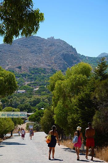 Kastro Chalki - Eiland Chalki Dodecanese - Foto 237 - Foto van https://www.grieksegids.nl/fotos/chalki/350/eiland-chalki-237.jpg