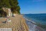 Elia beach Chalkidiki - Macedonie -  Foto 5 - Foto van De Griekse Gids