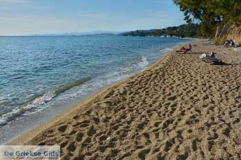 Elia beach Chalkidiki - Macedonie -  Foto 4 - Foto van https://www.grieksegids.nl/fotos/chalkidiki/350pix/elia-beach-chalkidiki-004.jpg