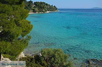 Elia beach Chalkidiki - Macedonie -  Foto 16 - Foto van https://www.grieksegids.nl/fotos/chalkidiki/350pix/elia-beach-chalkidiki-016.jpg