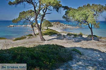 Vourvourou Chalkidiki - Macedonie -  Foto 14 - Foto van https://www.grieksegids.nl/fotos/chalkidiki/350pix/vourvourou-chalkidiki-014.jpg