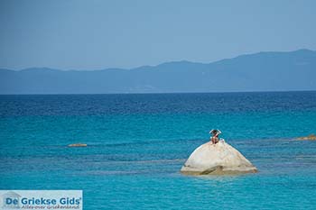Kavourotrypes Chalkidiki - De Griekse Gids foto 8 - Foto van https://www.grieksegids.nl/fotos/chalkidiki/kavourotrypes/350pix/kavourotrypes-chalkidiki-008.jpg