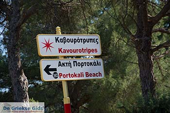 Kavourotrypes Chalkidiki - De Griekse Gids foto 13 - Foto van https://www.grieksegids.nl/fotos/chalkidiki/kavourotrypes/350pix/kavourotrypes-chalkidiki-013.jpg