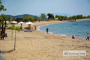 Psakoudia Chalkidiki 5 - Foto van https://www.grieksegids.nl/fotos/chalkidiki/normaal/psakoudia-chalkidiki-005.jpg