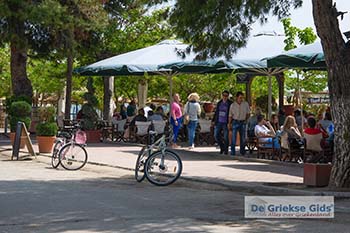 Psakoudia Chalkidiki 6 - Foto van https://www.grieksegids.nl/fotos/chalkidiki/normaal/psakoudia-chalkidiki-006.jpg