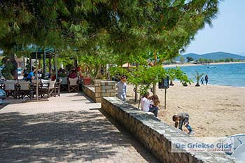 Psakoudia Chalkidiki 7 - Foto van https://www.grieksegids.nl/fotos/chalkidiki/normaal/psakoudia-chalkidiki-007.jpg