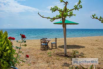 Psakoudia Chalkidiki 8 - Foto van https://www.grieksegids.nl/fotos/chalkidiki/normaal/psakoudia-chalkidiki-008.jpg