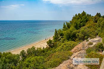 Psakoudia Chalkidiki 11 - Foto van https://www.grieksegids.nl/fotos/chalkidiki/normaal/psakoudia-chalkidiki-011.jpg