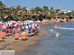 GriechenlandWeb Strand Starbeach Chersonissos - Beach near Starbeach Photo 5 - Foto GriechenlandWeb.de