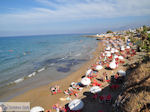 GriechenlandWeb Strand Starbeach Chersonissos - Beach Starbeach Hersonissos - Foto GriechenlandWeb.de