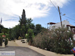 GriechenlandWeb Koutouloufari Heraklion Kreta - Foto GriechenlandWeb.de