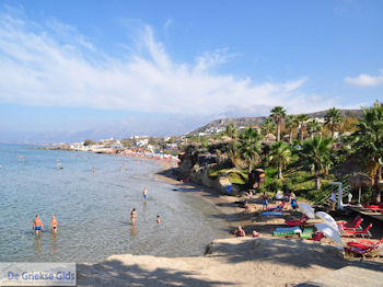 Strand Starbeach Chersonissos - Beach Starbeach Hersonissos Photo 3 - Foto von GriechenlandWeb.de