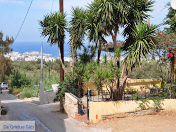 Koutouloufari Kreta (Crete) Photo 22 - Foto van https://www.grieksegids.nl/fotos/chersonissos/350pixels/koutouloufari-chersonissos-022.jpg