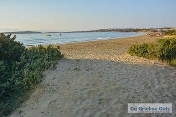 Santa Maria Paros Cycladen 26 - Foto van https://www.grieksegids.nl/fotos/cycladen/paros/normaal/santa-maria-paros-026.jpg