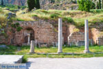 GriechenlandWeb.de Delphi Fokida - Foto GriechenlandWeb.de