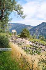 GriechenlandWeb Delphi (Delfi) | Griechenland | GriechenlandWeb.de foto 15 - Foto GriechenlandWeb.de