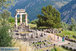 GriechenlandWeb.de Delphi Fokida - Foto GriechenlandWeb.de