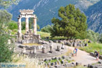 GriechenlandWeb.de Delphi Fokida - Foto GriechenlandWeb.de