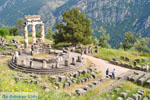 GriechenlandWeb.de Delphi Fokida - Foto GriechenlandWeb.de