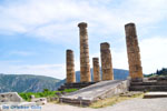 GriechenlandWeb Delphi (Delfi) | Griechenland | GriechenlandWeb.de foto 53 - Foto GriechenlandWeb.de