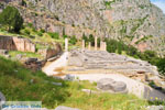 GriechenlandWeb Delphi (Delfi) | Griechenland | GriechenlandWeb.de foto 63 - Foto GriechenlandWeb.de