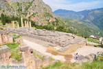 GriechenlandWeb Delphi (Delfi) | Griechenland | GriechenlandWeb.de foto 64 - Foto GriechenlandWeb.de