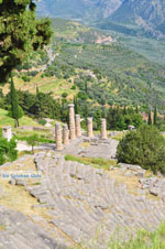 GriechenlandWeb.de Delphi Fokida - Foto GriechenlandWeb.de