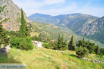 GriechenlandWeb.de Delphi Fokida - Foto GriechenlandWeb.de
