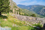 GriechenlandWeb.de Delphi Fokida - Foto GriechenlandWeb.de