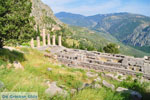 GriechenlandWeb Delphi (Delfi) | Griechenland | GriechenlandWeb.de foto 95 - Foto GriechenlandWeb.de