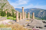 GriechenlandWeb.de Delphi Fokida - Foto GriechenlandWeb.de