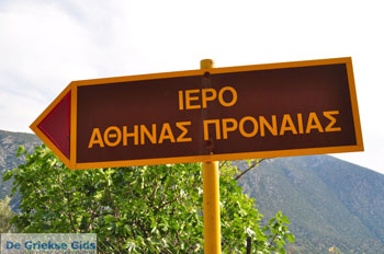 Delphi (Delfi) | Griekenland 14 - Foto van https://www.grieksegids.nl/fotos/delphi/normaal/delphi-grieksegids-014.jpg