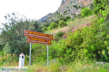 Delphi (Delfi) | Griekenland 24 - Foto van https://www.grieksegids.nl/fotos/delphi/normaal/delphi-grieksegids-024.jpg