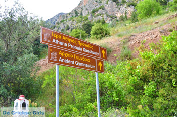 Delphi (Delfi) | Griekenland 25 - Foto van https://www.grieksegids.nl/fotos/delphi/normaal/delphi-grieksegids-025.jpg