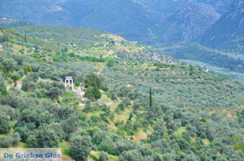 Delphi (Delfi) | Griekenland 29 - Foto van https://www.grieksegids.nl/fotos/delphi/normaal/delphi-grieksegids-029.jpg