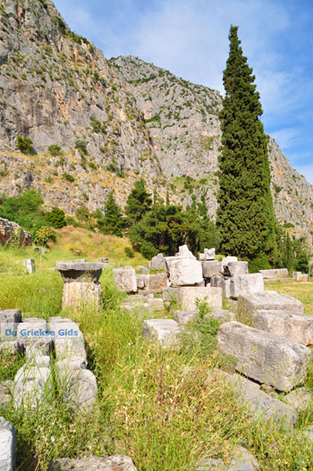 Delphi (Delfi) | Griekenland 103 - Foto van https://www.grieksegids.nl/fotos/delphi/normaal/delphi-grieksegids-103.jpg