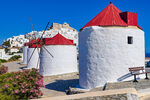 Astypalaia molens | Dodecanese