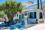GriechenlandWeb.de Diafani Karpathos | Dodecanese - Foto De Griekse Gids